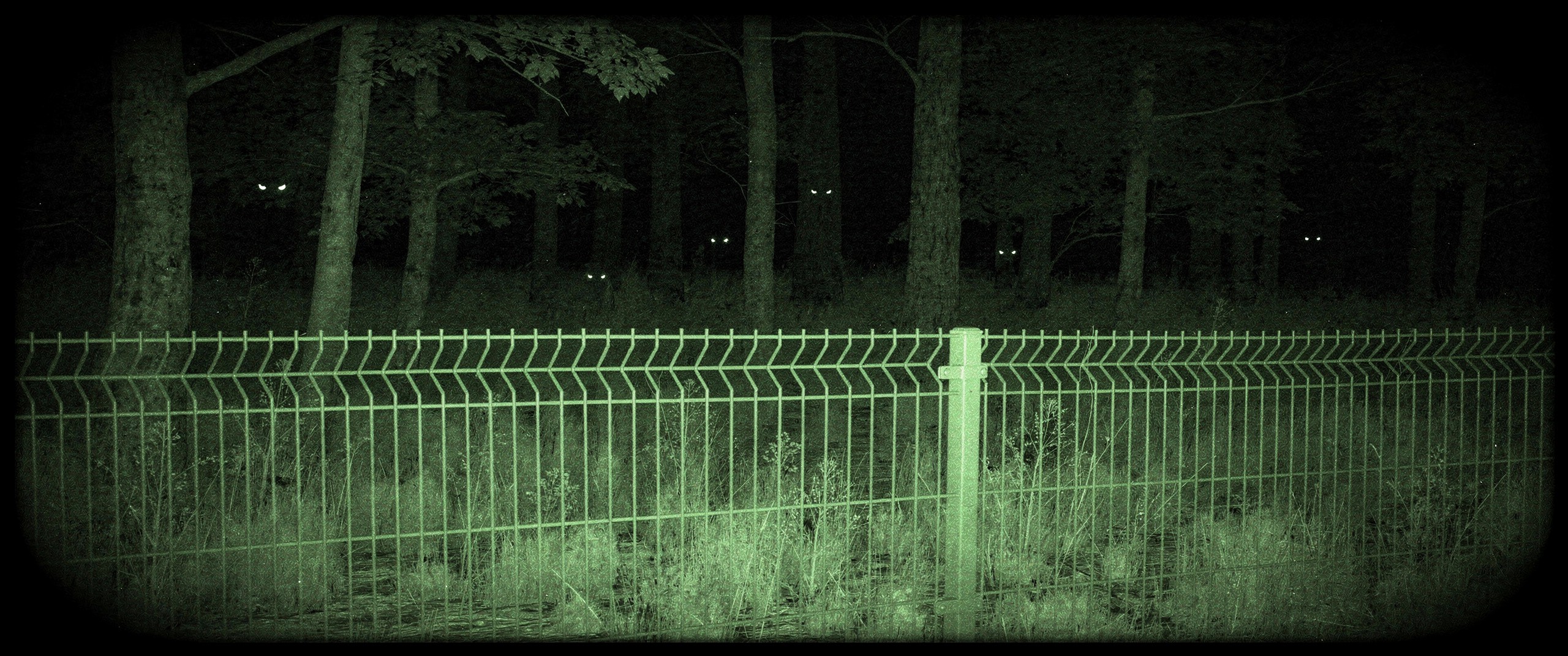 Warning: werewolf breeding zone